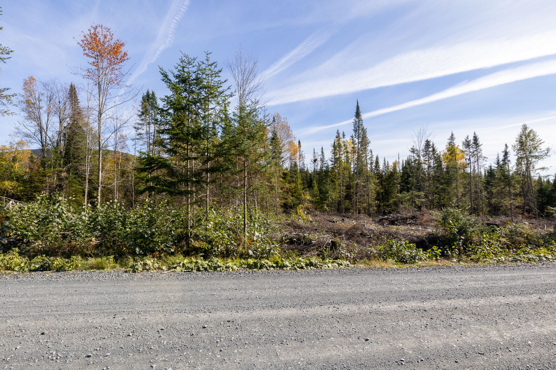 Land in Sainte-Cécile-de-Whitton