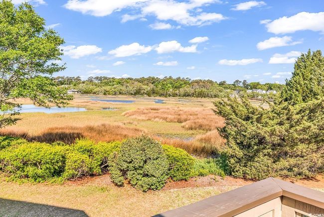 View of yard with a water view | Image 26