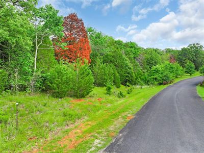 View of road | Image 3