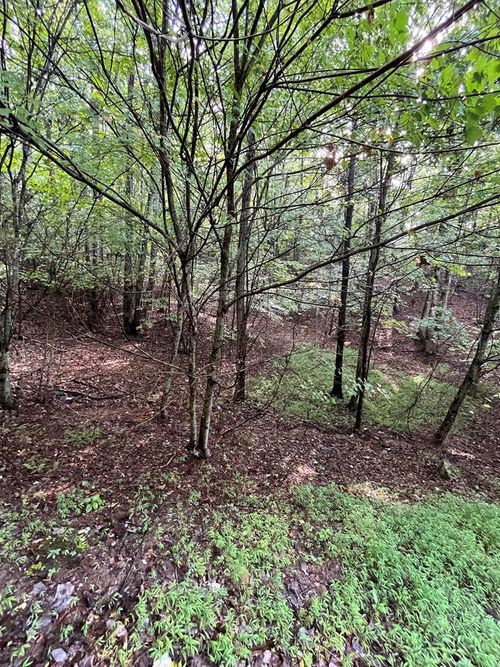 Lot 45AC Ash Branch Cir, Hayesville, NC, 28904 | Card Image