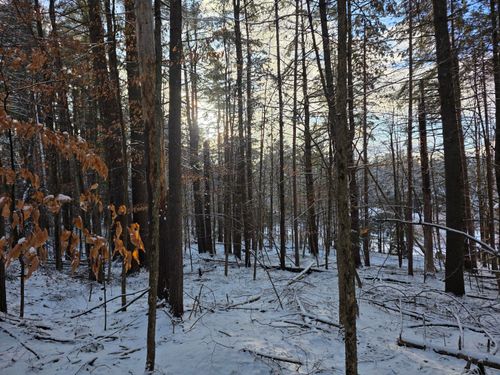 0 Hochsteig Ln, Jay, NY, 12941 | Card Image