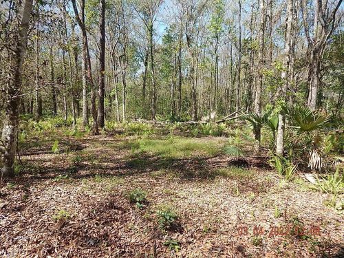 1026 Buist St, ORLANDO, FL, 32828 | Card Image