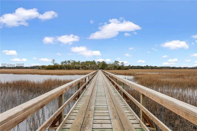 Just down from boardwalk to Magnolia Island | Image 9