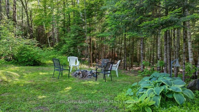 12642 Highway 28, House other with 3 bedrooms, 2 bathrooms and 8 parking in Apsley ON | Image 31