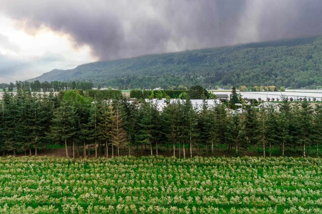View of mountain background featuring a heavily wooded area | Image 8