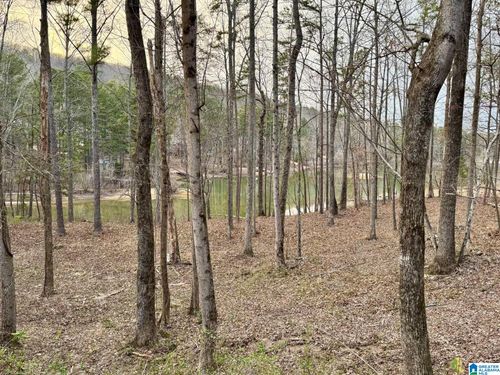 17-6142 Lakeside Dr, PINSON, AL, 35126-2303 | Card Image