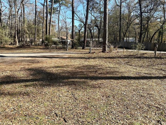 Front yard | Image 22