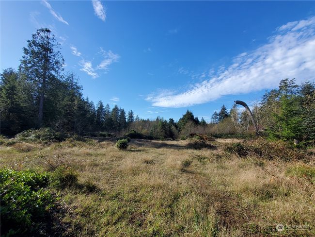 36602 Stackpole Rd, Home with 0 bedrooms, 0 bathrooms and null parking in Oysterville WA | Image 20