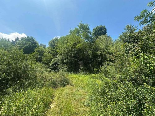 TBD Kanes Creek Rd, Reedsville, WV, 26547 | Card Image