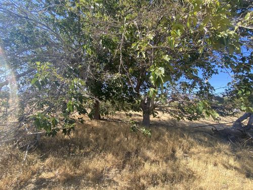 8521 Fremontia Way, Lake Isabella, CA, 93240-9762 | Card Image