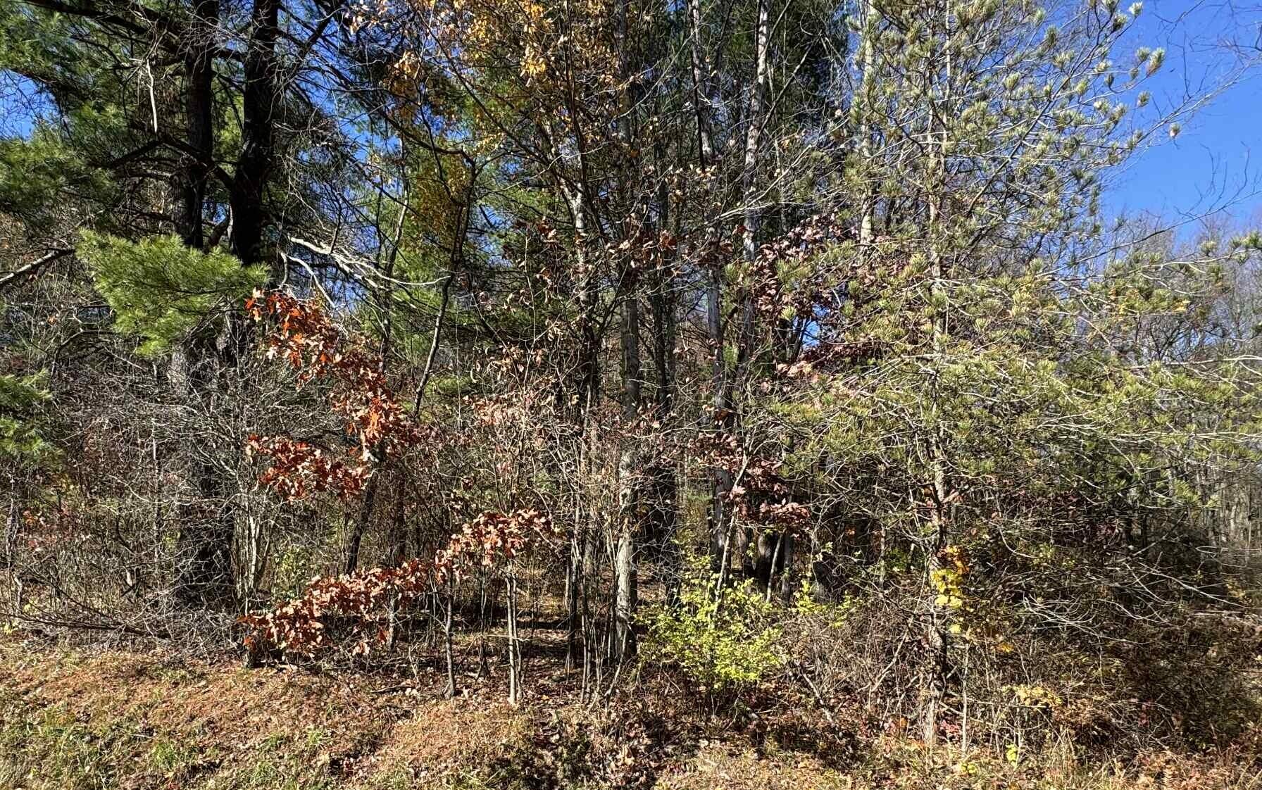 Land in Brookville 3