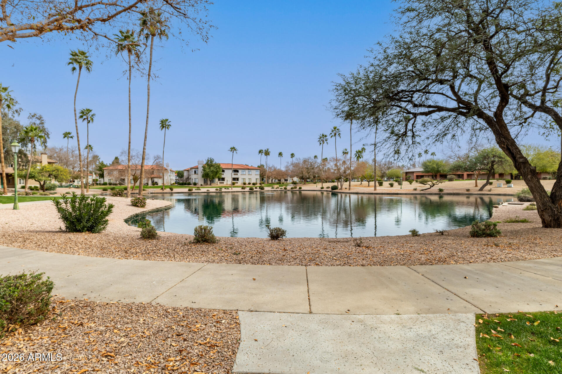 Residential in Mesa 5