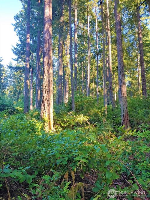 11302 106th St, Anderson Island, WA, 98303-8603 | Card Image