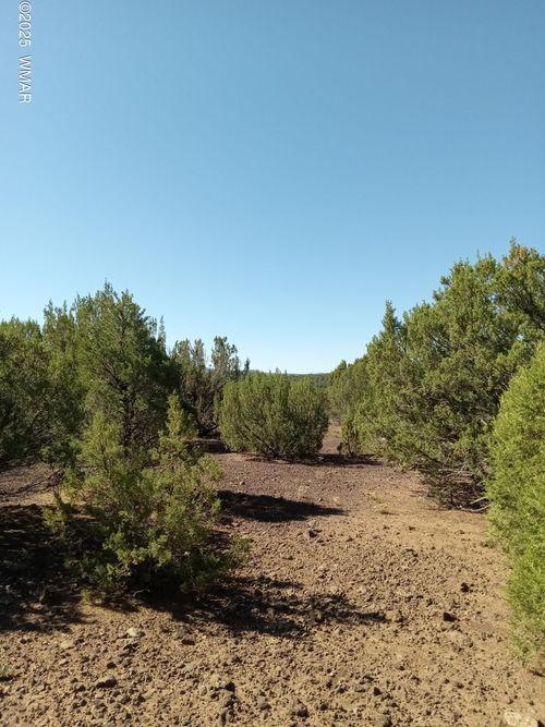 TBD County Road 3197, Vernon, AZ, 85940 | Card Image