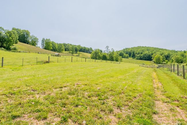 688 Gibson Knob Rd, Home with 0 bedrooms, 0 bathrooms and null parking in Laurel Fork VA | Image 97