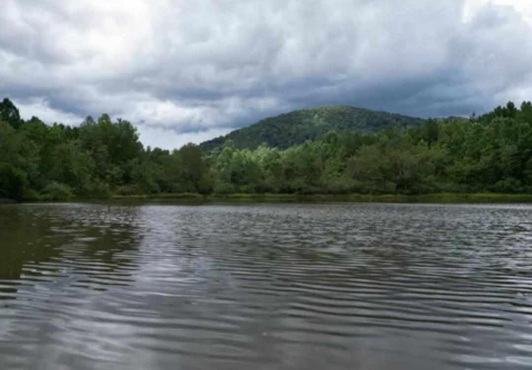 Land in Pickens 3