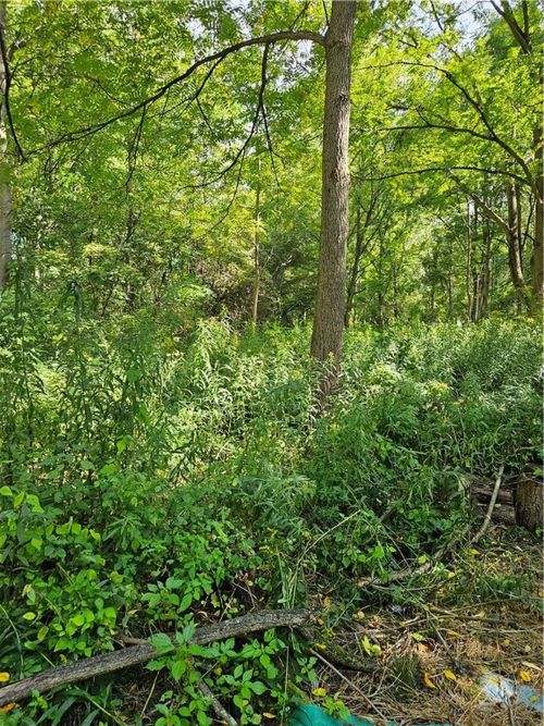 0 Lyons Marengo Rd, Clyde, NY, 14433 | Card Image