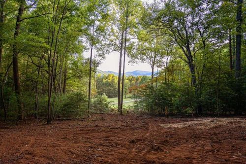 0 Cottonwood Ln, Blue Ridge, GA, 30513 | Card Image
