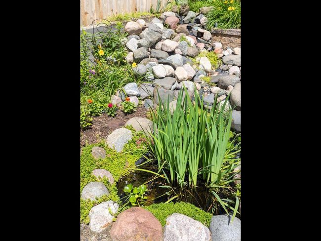 Enjoy an abundance of perennial plants | Image 56