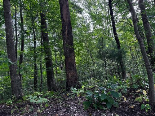 16 Rice Corner Rd, Brookfield, MA, 01506-1800 | Card Image