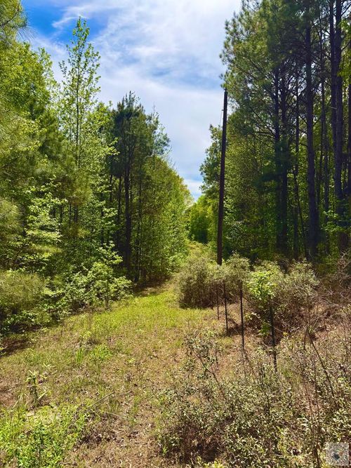 Fm 125 Fm 125, McLeod, TX, 75565 | Card Image