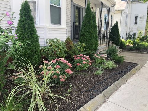 apt-2-51 College Ave, Somerville, MA, 02144-2060 | Card Image
