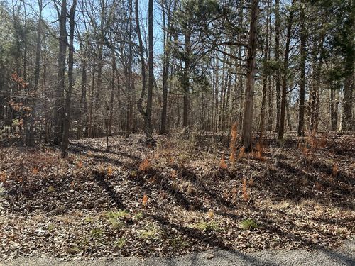 0 Greenmeadow Dr, Big Sandy, TN, 38221 | Card Image