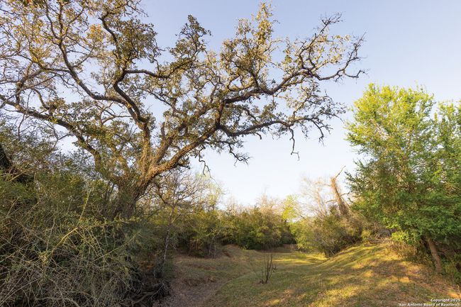 343 Batey Rd, Home with 3 bedrooms, 2 bathrooms and null parking in Nixon TX | Image 41