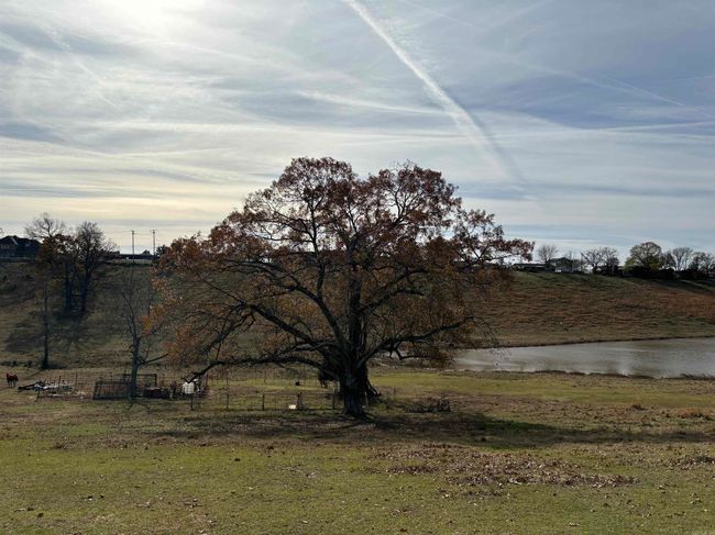 00 Cadron Gap Rd, Home with 0 bedrooms, 0 bathrooms and null parking in Conway AR | Image 22
