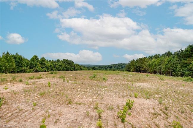 931 Nc Highway 705, Home with 0 bedrooms, 0 bathrooms and null parking in Seagrove NC | Image 4
