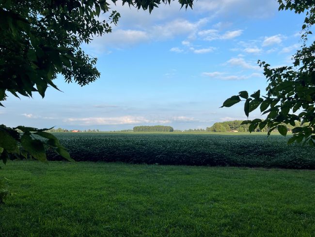 0 Norton Road, Home with 0 bedrooms, 0 bathrooms and null parking in Radnor OH | Image 18