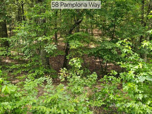 58 Pamplona Way, Hot Springs Village, AR, 71909 | Card Image