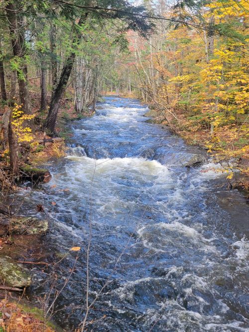 832 Main Street, Sandy River Plt, ME, 04970 | Card Image
