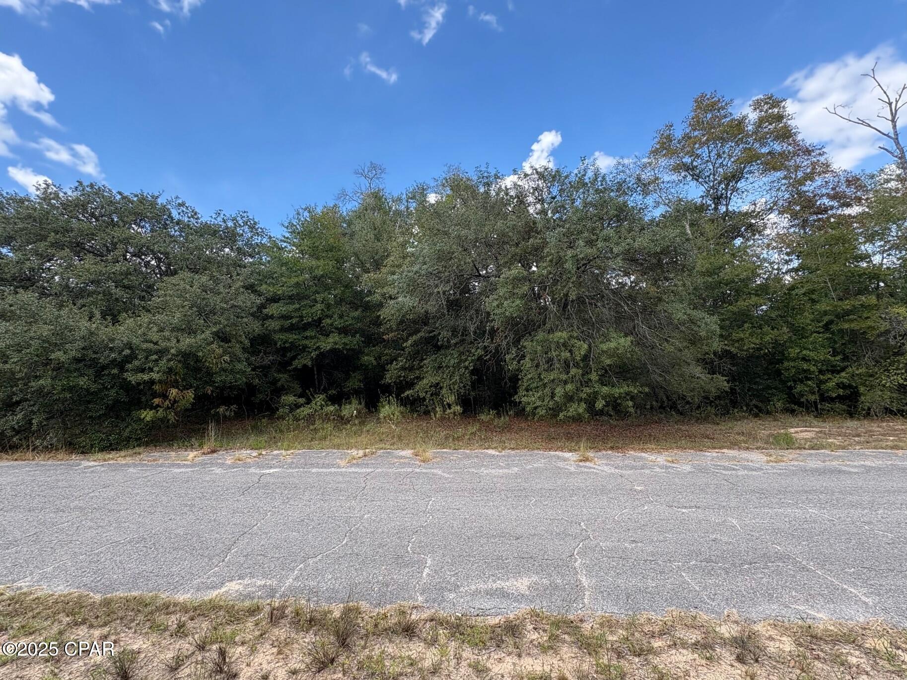 Land in Chipley 3