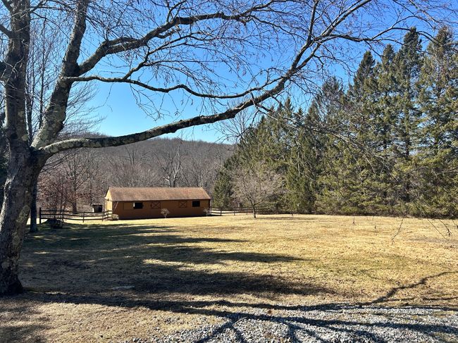 BACK YARD TO STREAM AND BARN | Image 29