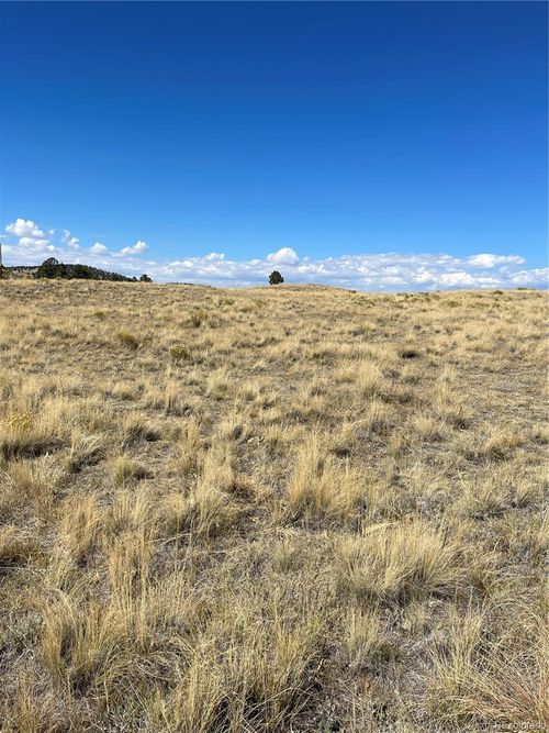 309 Castle Mountain Dr, FLORISSANT, CO, 80816 | Card Image