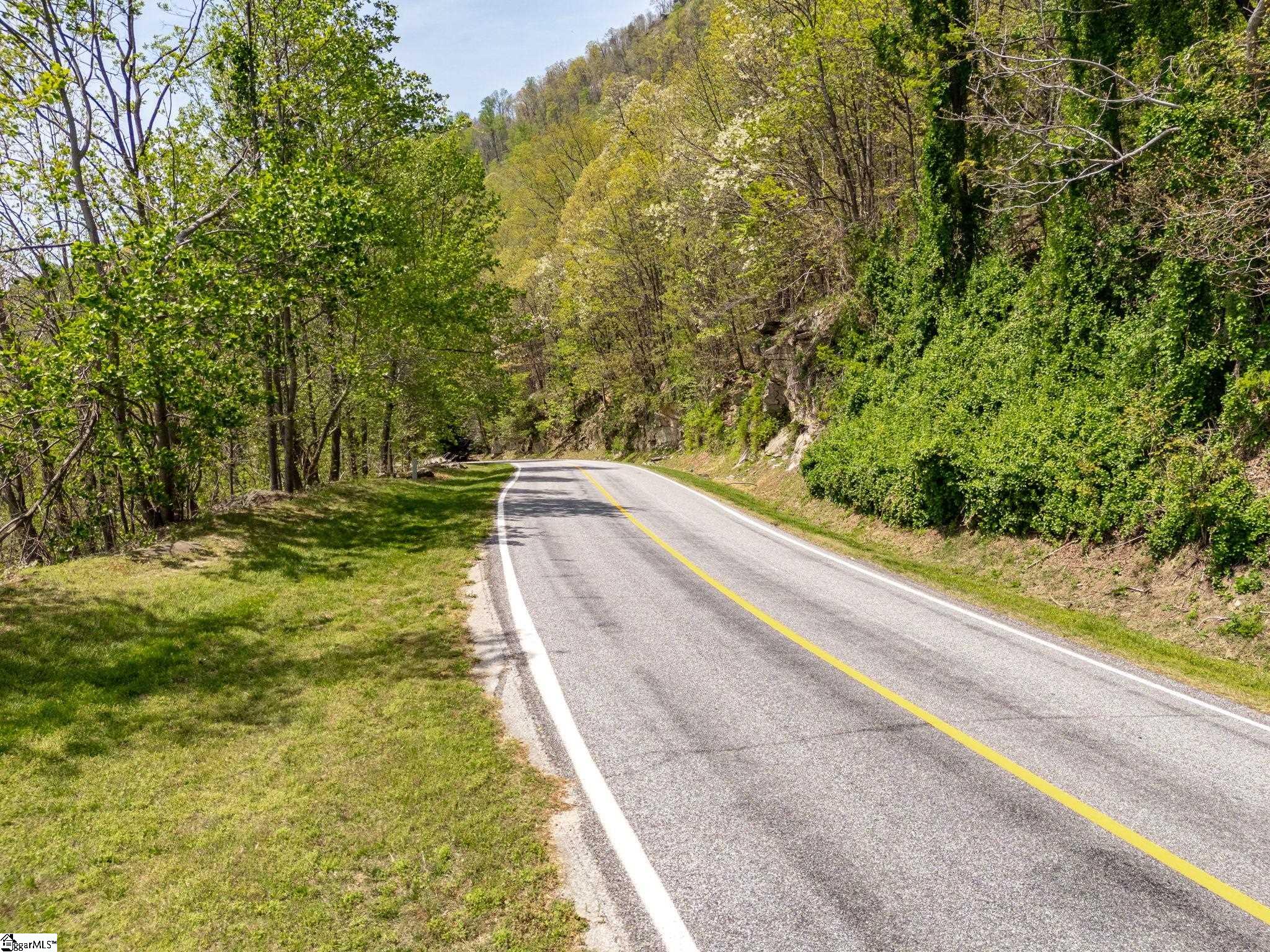 Land in Landrum 4