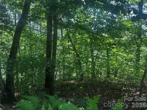 0 South Dr, Lake Lure, NC, 28746 | Card Image
