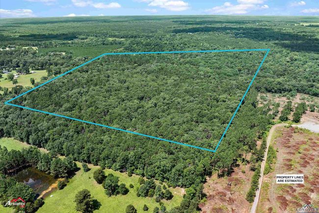 TRACT-3 - TBD Pr 1335, Home with 0 bedrooms, 0 bathrooms and null parking in Marshall TX | Image 8
