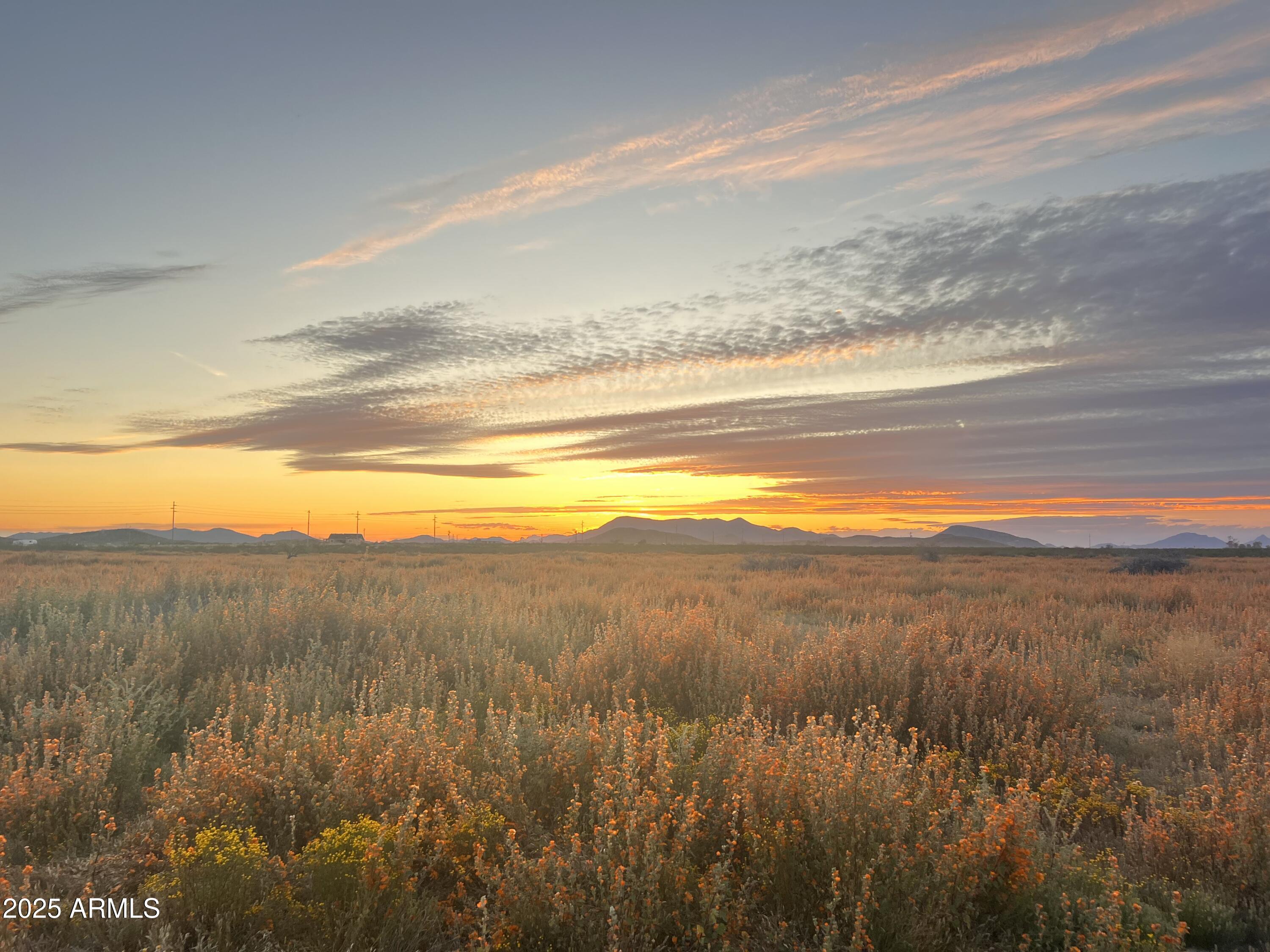 Land in Tonopah