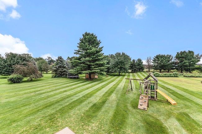Beautiful lawn | Image 34