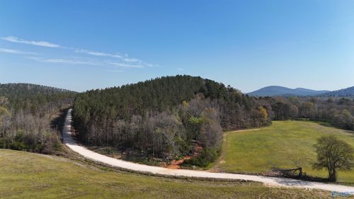 0257 County Road 175, Piedmont, AL, 36272 | Card Image