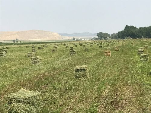 TBD Hergenrider Rd, Bridger, MT, 59014 | Card Image