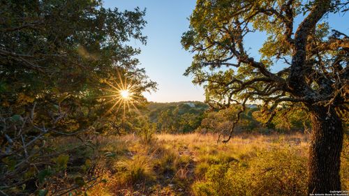 259 Lookout Point N, Comfort, TX, 78013 | Card Image