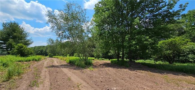 Lot 81.4 County Road 114, Home with 0 bedrooms, 0 bathrooms and null parking in Cochecton NY | Image 2