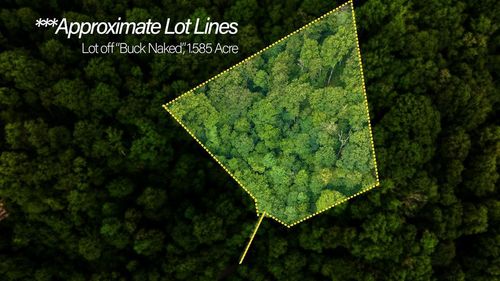 LOT OFF Bryson City Rd, Bryson City, NC, 28713 | Card Image