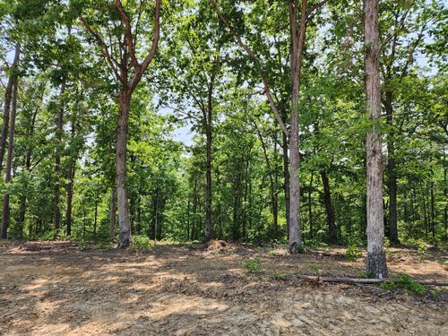 118 Bella Way, Hohenwald, TN, 38462-3005 | Card Image