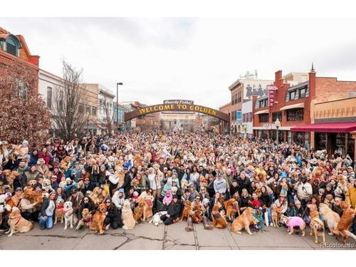 16045 W 13th Pl, Golden, CO, 80401-2916 | Card Image