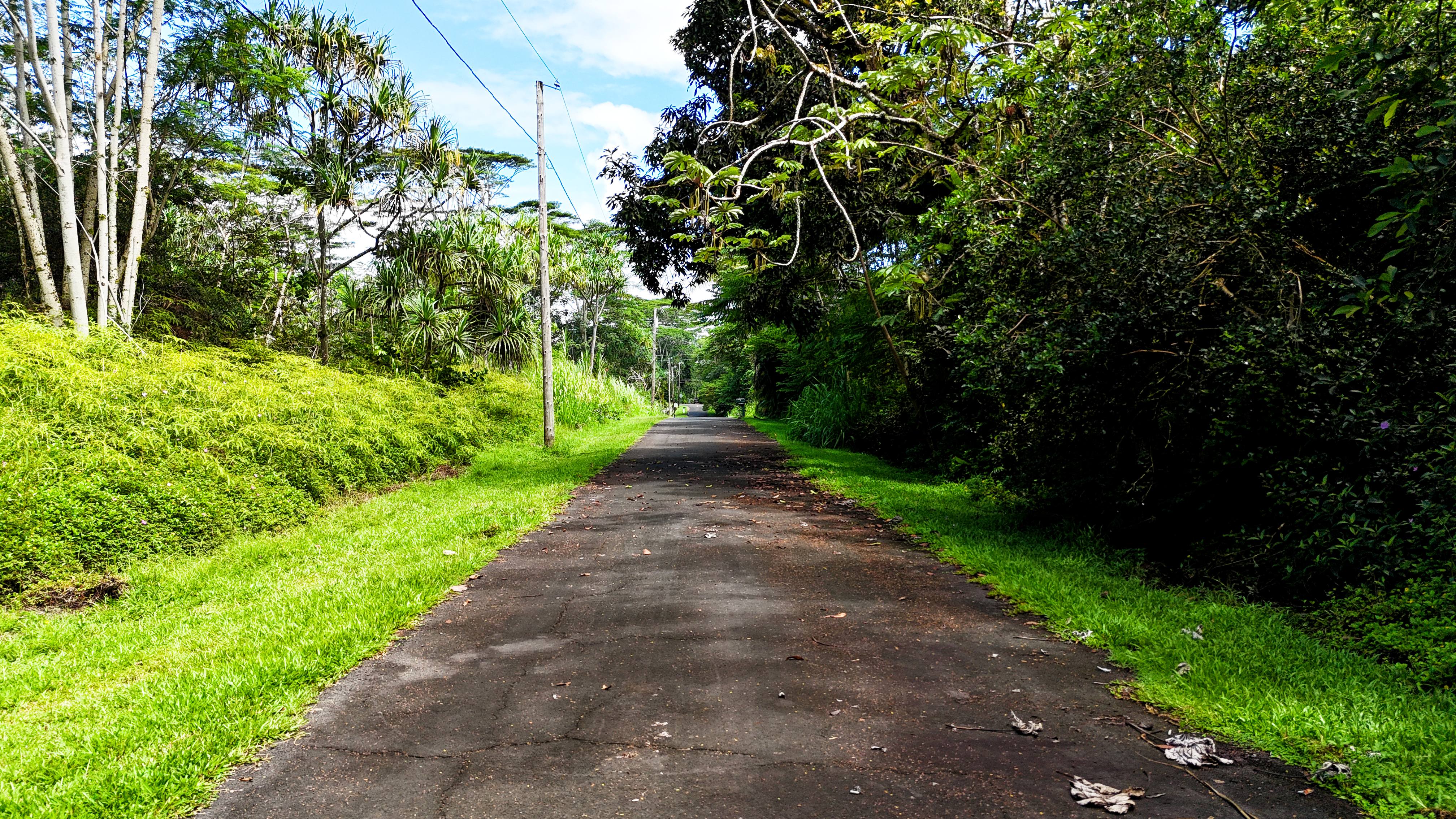Land in Pahoa 2