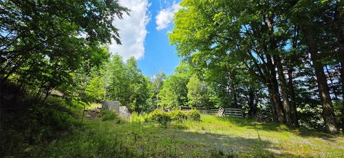 290 Cypert Road, Fallsburg, NY, 12788 | Card Image